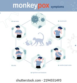 monkeypox outbreak concept, infographic showing an animals that carries smallpox markeypox , and showing symptoms that occur in the human body when infected , vector illustration , flat design