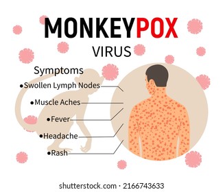 Monkeypox symptoms infographic. Banner with text, a silhouette of a monkey and a human body with a rash. Symptoms of the disease - Swollen Lymph Nodes, Muscle Aches, Fever, Headache, Rash. Vector.