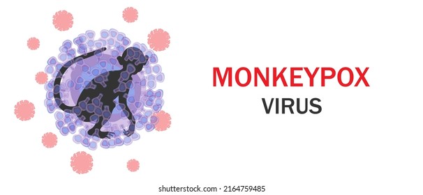 Monkeypox virus banner. Microbiological background with virus cells and monkey contours. Vector illustration.