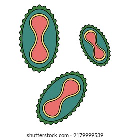 Monkeypox virus. Color vector illustration. Dangerous disease. Three green microorganisms. Isolated background. Cartoon style. Medical theme. Idea for web design