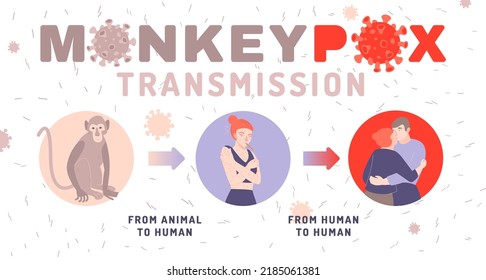 Monkeypox virus infographics. Useful information about transmission. Landscape poster, informative medical banner. Health care, medicine concept. Editable vector illustration in a modern flat style