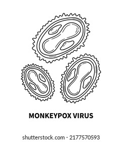 Monkeypox virus internal structure of the cell in close up, biological isolated linear scheme of the poxvirus. Vector illustration of the disease in doodle hand drawn style.