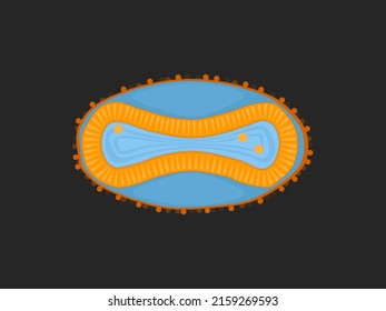 Monkeypox Virus medical vector illustration. Monkey Pox is a rare viral infection. Mpox representational structure.