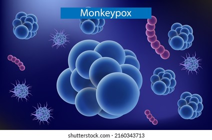 Brotes de virus de la varicela. Enfermedad rara. Vector