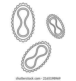 Virus de la varicela. Esbozo. Ilustración vectorial. Enfermedad peligrosa. Esquema sobre fondo aislado. Estilo Doodle.