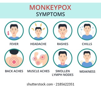 Monkeypox Virus Symptoms Concept Pox Virus Stock Vector (Royalty Free ...