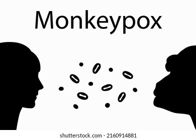 Monkeypox virus. Text and silhouettes of a human (female) and a monkey in profile and viruses in between. Symbol of virus transmission from animal to human. Black and White.