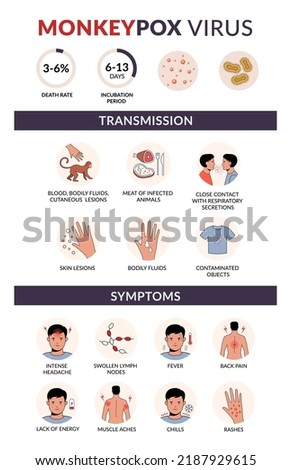 Monkeypox virus transmission and symptoms flat vector infographic. 
Fever, headache, backpain, rash. Outbreak infections