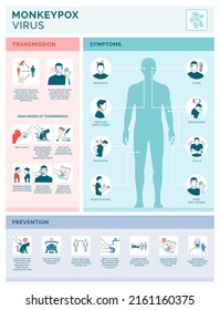 Monkeypox virus transmission, symptoms and prevention vector infographic with icons