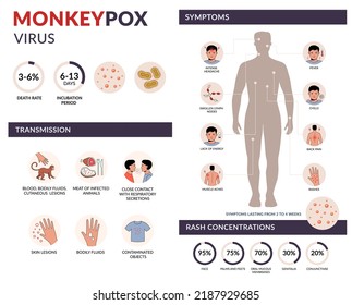 Monkeypox virus transmission, symptoms, rash concentration vector infographic with icons. Infection spreading from monkey. Flat design