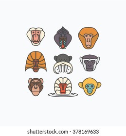 Monkeys