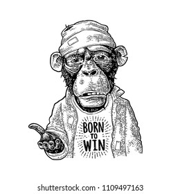 Monkeys begging dressed in a hat and a robe stretched paw. Lettering BORN to WIN. Vintage black engraving illustration for poster and t-shirt