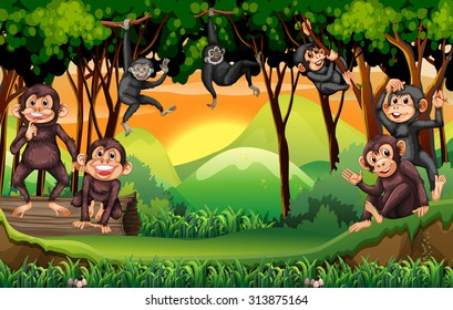 Monkeys climbing tree in the jungle illustration