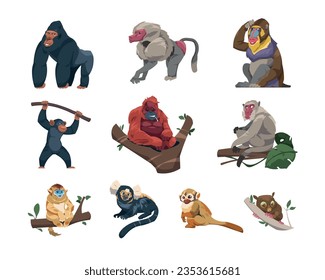 Monkeys collection. Cartoon ape characters in different poses, species and breeds of monkeyshines, cute tropical primates zoo or wildlife concept. Vector set. Climbing, hanging wild animals