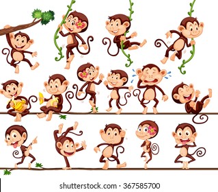 Monkeys doing different actions illustration