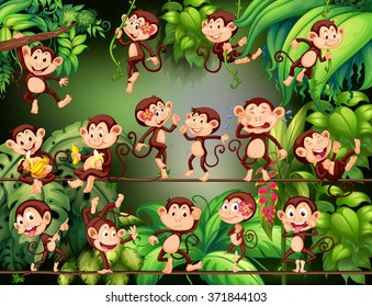 Monkeys doing different things in the jungle illustration