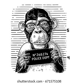 Monos vestidos con una camiseta humana sosteniendo un cartel del departamento de policía. Ilustración de grabado negro vintage para afiche.