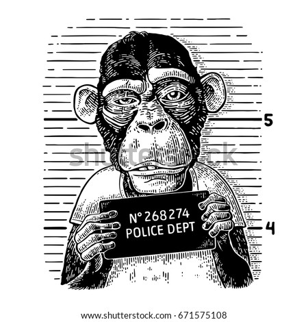 Monkeys dressed in a human T-shirt holding a police department banner. Vintage black engraving illustration for poster.