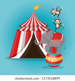 monkeys and elephant circus show