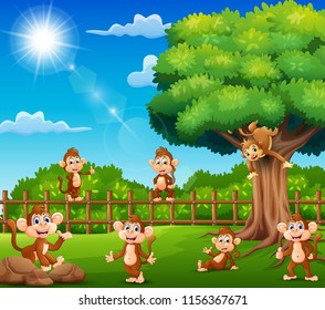 The monkeys are enjoying nature by a fence