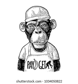 Monkeys Fast Food Worker Serving Fast Food Dressed In Cap And T-shirt With Pay Get Lettering. Vintage Black Engraving Illustration For Poster. Isolated On White Background. Hand Drawn Design Element