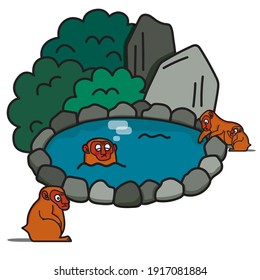 Monkeys Gather at a Hot Spring Deep in the Mountains, Colorful.