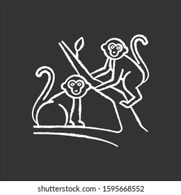 Monkeys in jungle chalk icon. Tropical country animals, mammals. Exploring exotic Indonesia wildlife. Primates sitting. Visiting Balinese forest fauna. Isolated vector chalkboard illustration