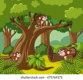 Monkeys living in dark forest illustration