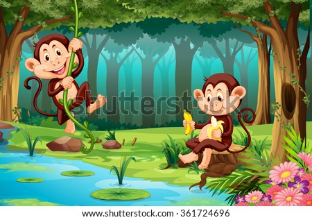 Monkeys living in the jungle illustration