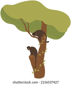 Monkeys with long tails sitting on tree. Jungle wildlife representatives, dark mammals on branches. Monkey living in tropical climate. Tree with wild animal species isolated on white background