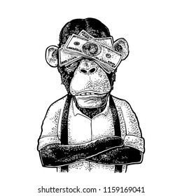 Monkeys with money on eyes. Vintage black engraving illustration for poster, web, t-shirt, tattoo. Isolated on white background