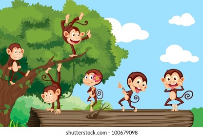 Monkeys on log in the forest