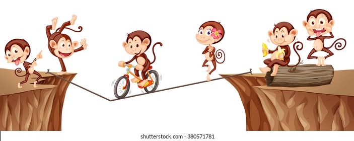 Monkeys playing on the rope illustration