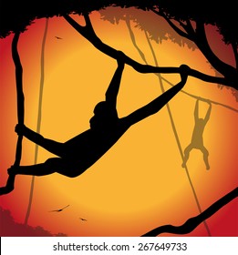 monkeys silhouette hanging from the trees