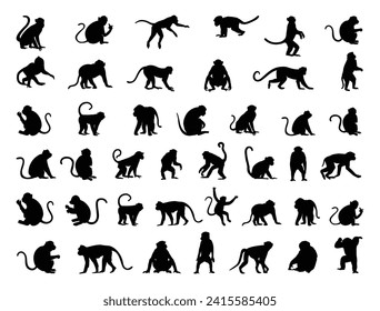 Monkeys silhouette vector art white background