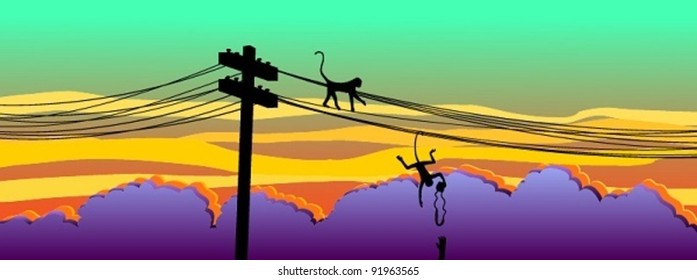 monkeys stealing a camera