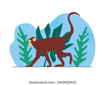 Monkeys surround the forest, walking on their legs and arms, jungle vector illustration.