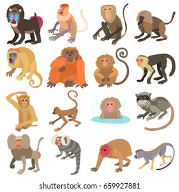 Monkeys types icons set. Cartoon illustration of 16 monkeys types vector icons for web