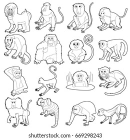 Monkeys types icons set. Outline illustration of 16 monkeys types vector icons for web