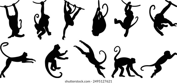 Monkeys vector, Monkeys siluet, monkeys style, set monkeys