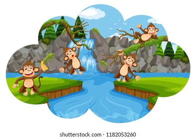 Monkeys in waterfall scene