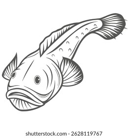 Monkfish Line Art, Lophius Americanus Illustration