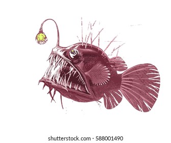 Monkfish Stock Illustrations, Images & Vectors | Shutterstock