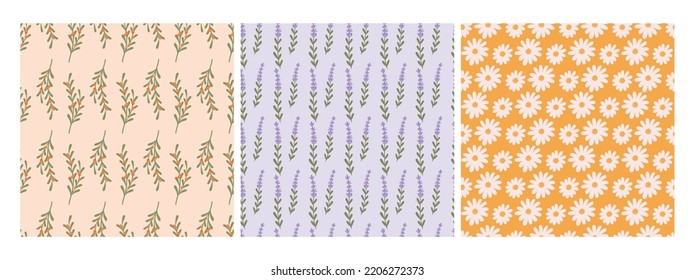 Mono flowers seamless patterns. Lavender chamomile and sea buckthorn branch. Cozy romantic trendy fabric prints. Wild meadow flowers vector background