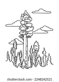 Mono line illustration of General Sherman tree in Sequoia National Park in southern Sierra Nevada mountains, California, United States done in black and white monoline line drawing art style.