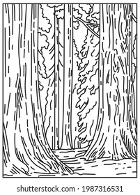 Mono Line Illustration Of Groves Of Giant Sequoias Or Redwoods In Sequoia National Park In Sierra Nevada In California United States Of America Done In Retro Black And White Monoline Line Art Style.