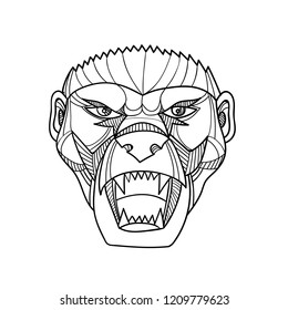 Mono line illustration of head of an angry and aggressive honey badger or ratel viewed from front done in black and white monoline style.