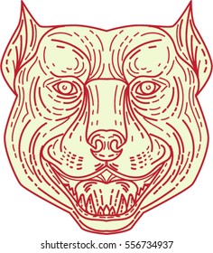 Mono line style illustration of an angry pitbull dog mongrel head facing front set on isolated white background.