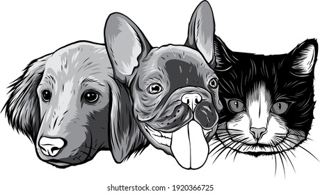 monochromatic Cat and Dog characters. Best friend forever, vector illustration.