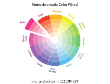 monochromatic color wheel, color scheme theory, pinks color in evidence, vector isolated or white background